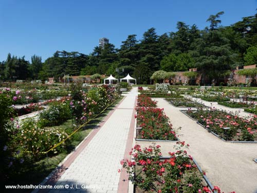 Rosaleda Campo del Oeste Madrid Spain 2012 Concurso de Rosas